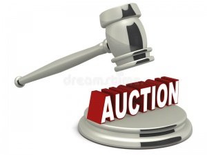 Auction Tool